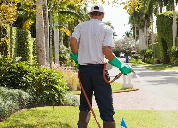 About Melrude MN Pest Control